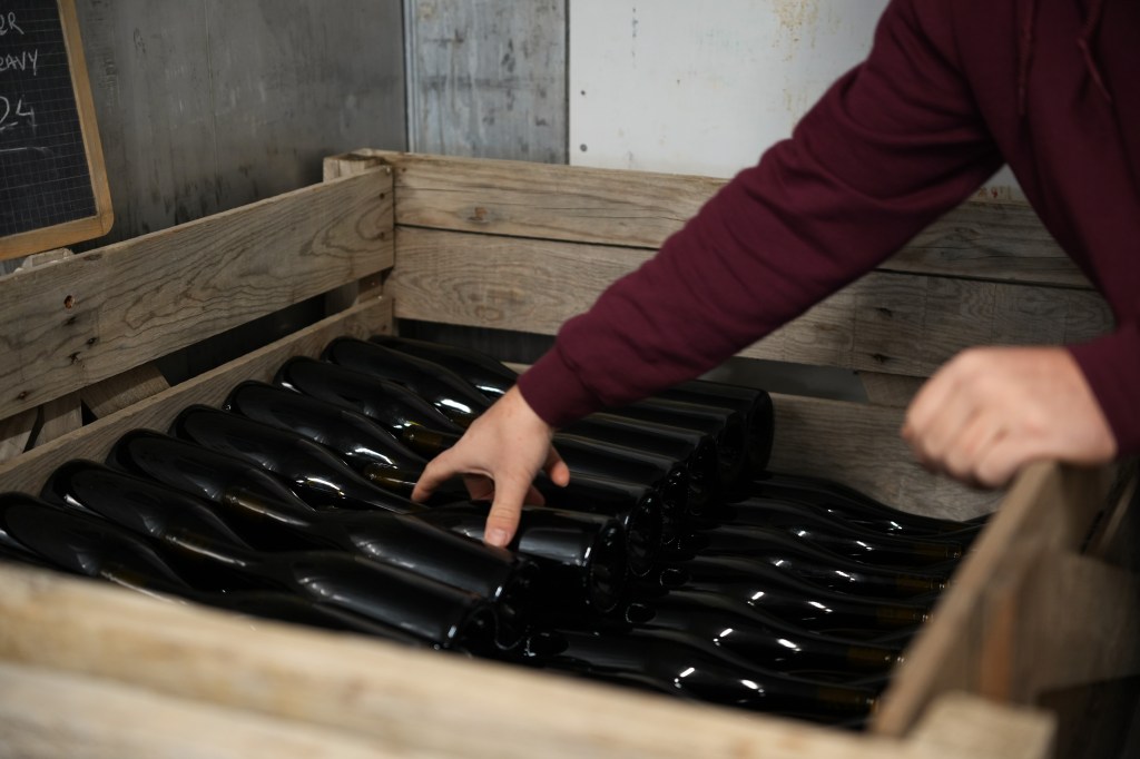 Micro cave insolite et bouteilles de vin