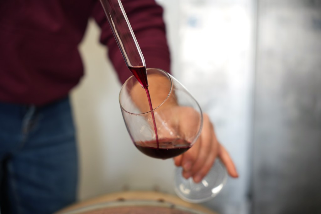Vin rouge prélevé en barriques, portrait